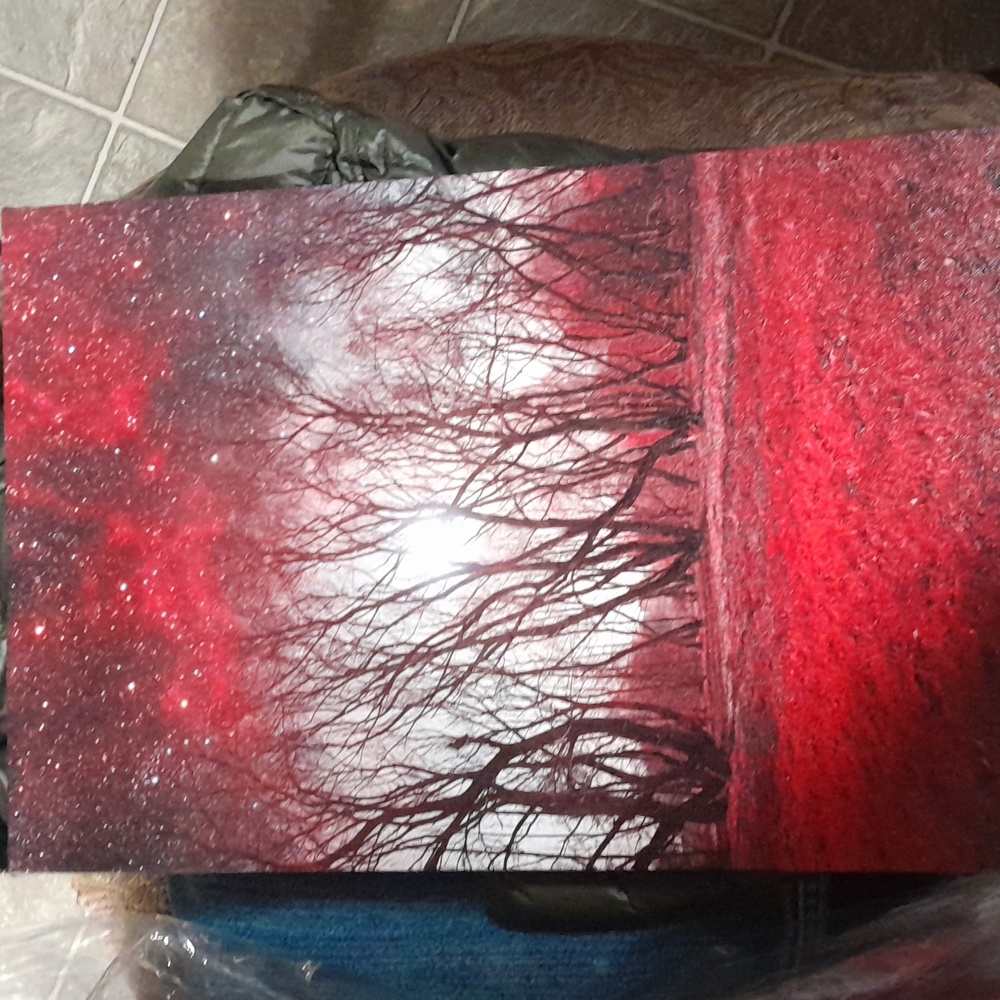 Stars in Redwoods printed canvas pictures